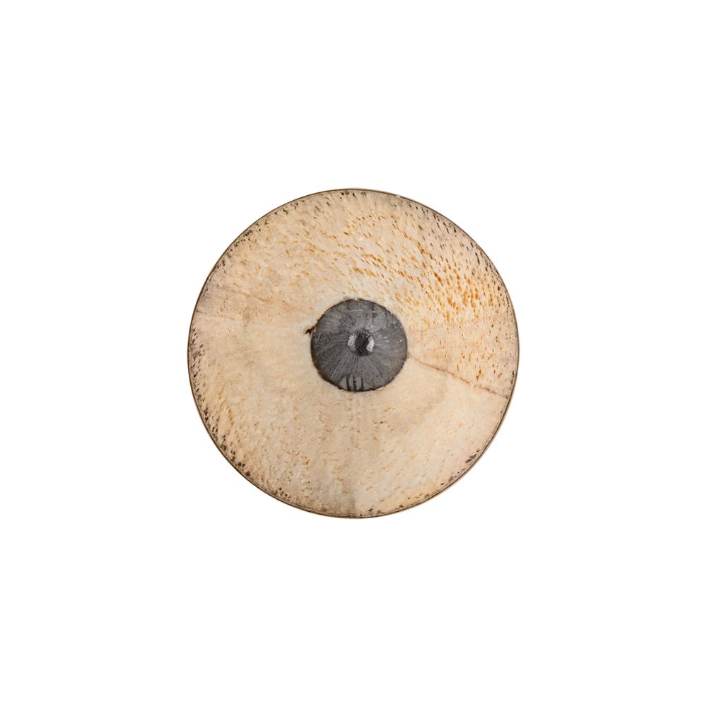 120016_5002.20__5002.20_2_1000x1000