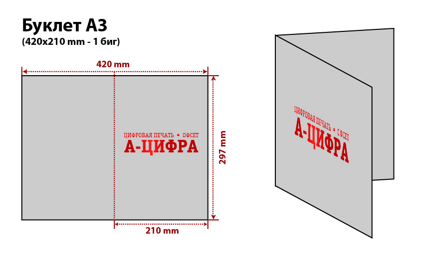 Буклет А3 (420*210 мм)